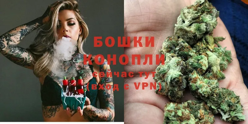 Конопля OG Kush  Электросталь 